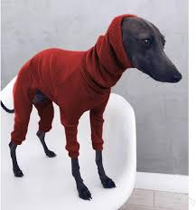 UOSIA Lätt Turtleneck för Whippet och Greyhound